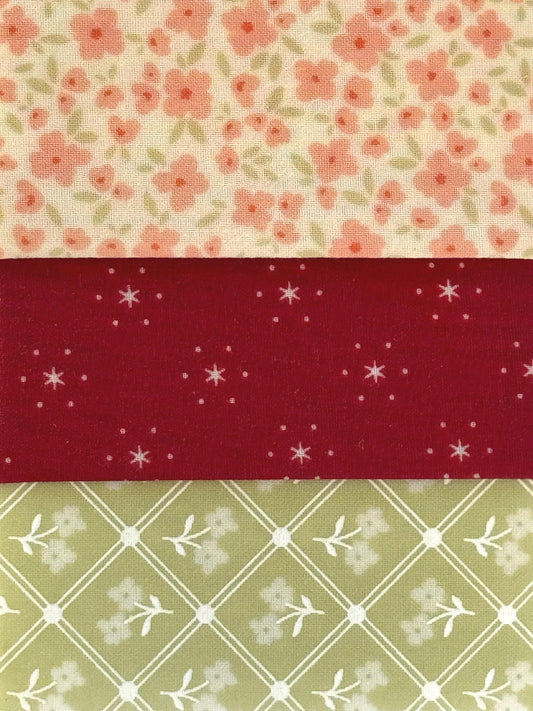 Red + Green Patterned Beeswax Food Wrap Set | Sustainable Food Storage